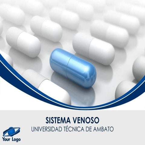 Anatomia sistema venoso