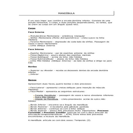 Anatomia óssea (mandíbula e maxila)