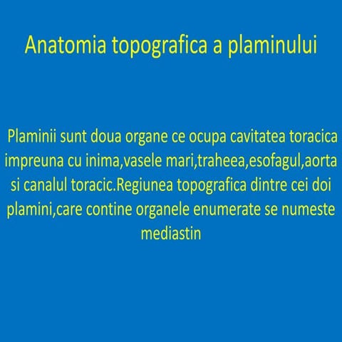 Anatomia topografica a plaminului 1
