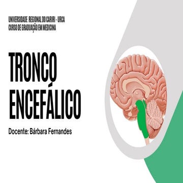 ANATOMIA TRONCO ENCEFÁLICO.pdf Mesencéfalo ponte bulbo tronco encefálico