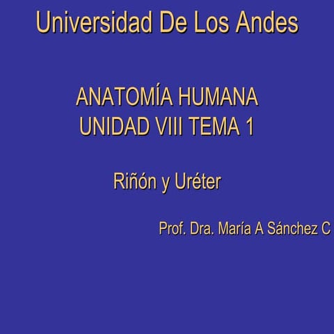 Anatomia und viii tema 1
