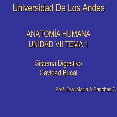 Anatomia und vii tema 1