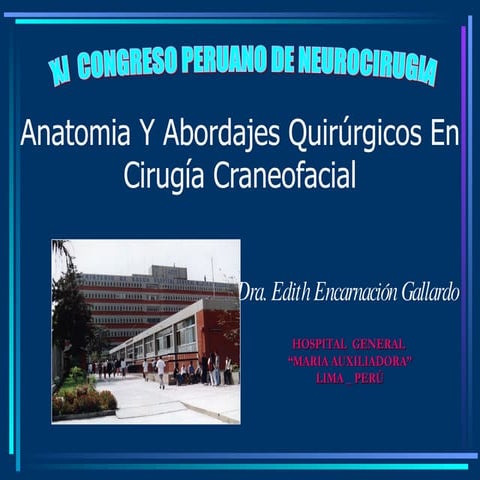 Anatomia  Y  Abordajes  Quirúrgicos  En  Cirugía  Craneofacial