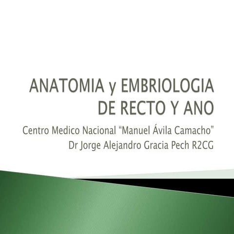 Anatomia del ano