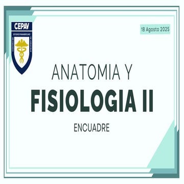 INSTRUCTIVO LLENADO FORMATO RAIS MED PRE | PDF