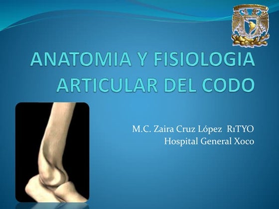 Articulación del Codo | PPT