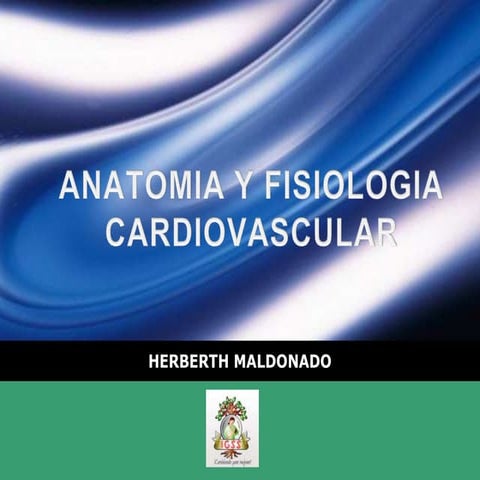Anatomía y fisiología cardiovascular en pediatría