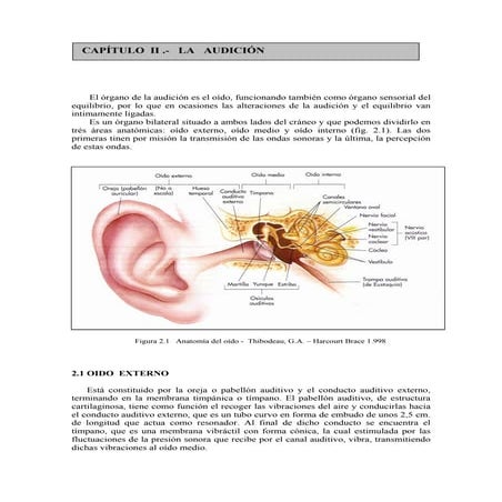 Anatomia y Fisiologia de la audicion