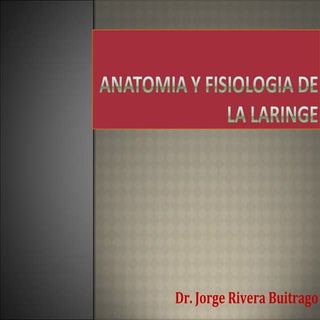 Anatomia y fisiologia de la laringe