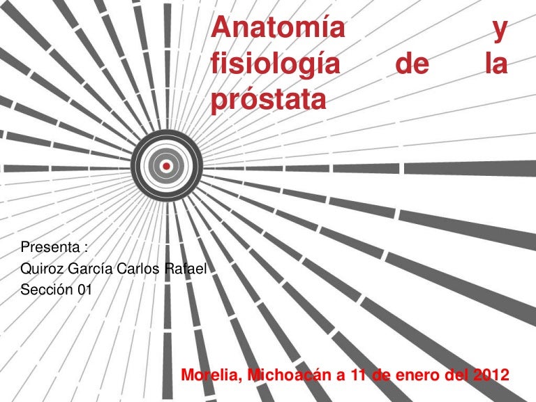 que es la prostata y cual es su funcion anatomica