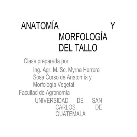 Anatomia y morfologia del tallo