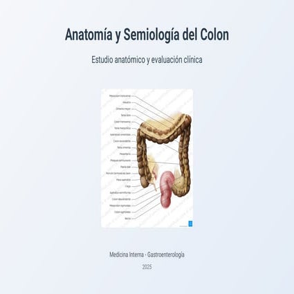 Anatomía_y_Semiología_del_Colon.pdf….. | PDF