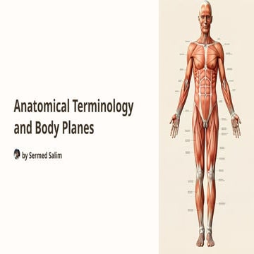Anatomical-Terminology-and-Body-Planes.pptx