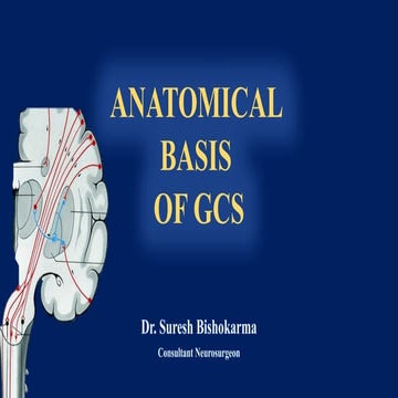 Caroticocavernous fistula CCF | PPTX