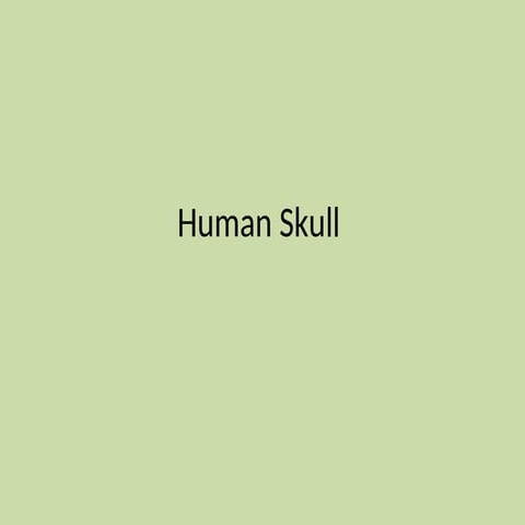 anatomy of human skull | PPTX