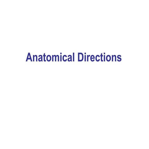 Anatomical directions