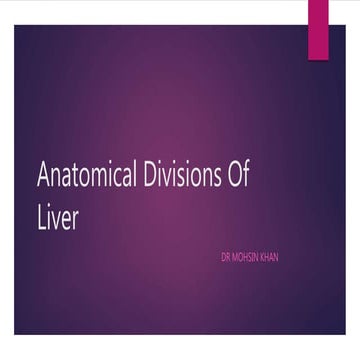 Anatomical division of liver