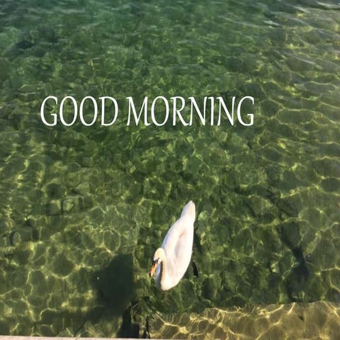 Anatomical landmarks of maxilla and mandible