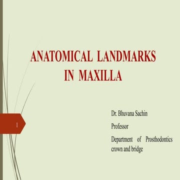 ANATOMICAL LANDMARKS IN MAXILLA and it's importance