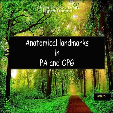 Anatomical landmarks in Periapical and Orthopantomogram X-ray