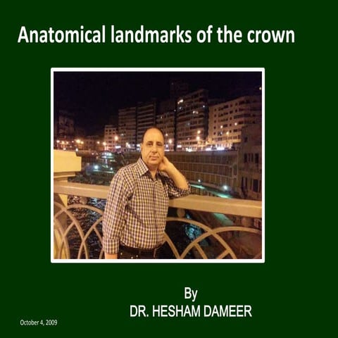 Anatomical landmarks of the crown