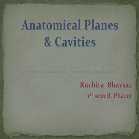 Anatomical planes & cavities