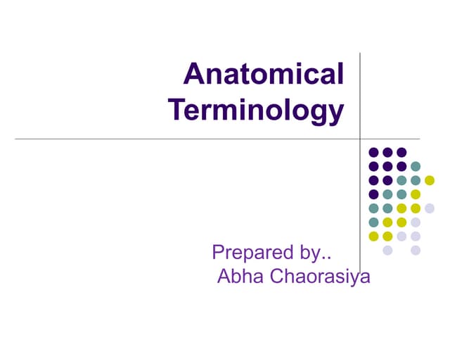 Anatomical position.ppt (1)