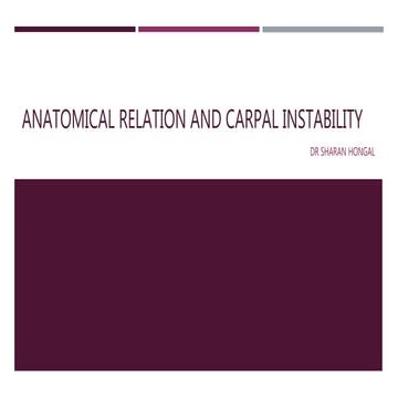 Anatomical relation and carpal instability
