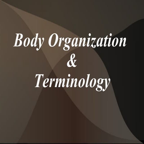 Anatomical terminology