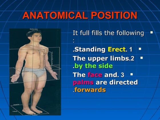 Anatomical positions | PPTX