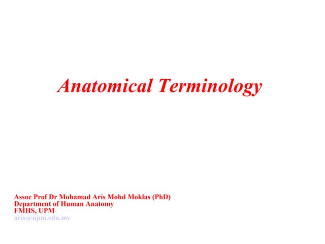 Anatomical terminology