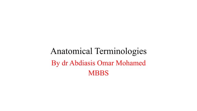 anatomical terminology.pptx