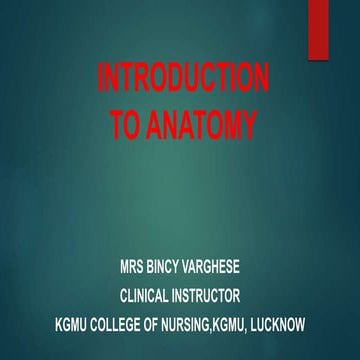 Anatomical terms, Directional Terms