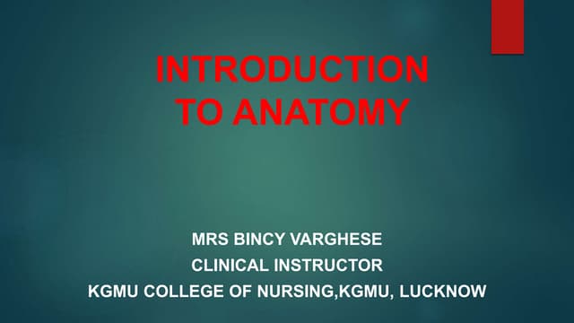 Anatomical terms, Directional Terms