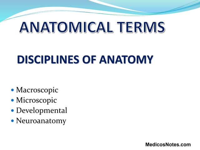 Anatomical terms medicosnotes.com