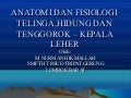 Anatomi dan fisiologi tht kl