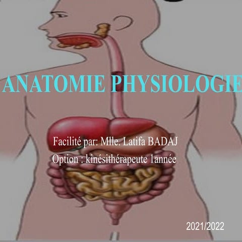 ANATOMIE du corps humain power point.pptx