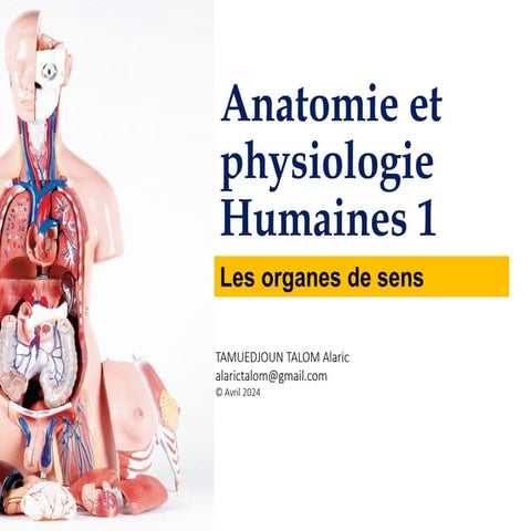 Anatomie et physiologie des organes de sens.pdf