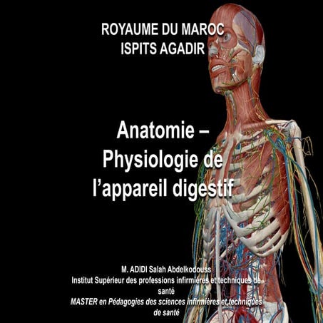 Anatomie  physio S.digestif.pptx.pdf