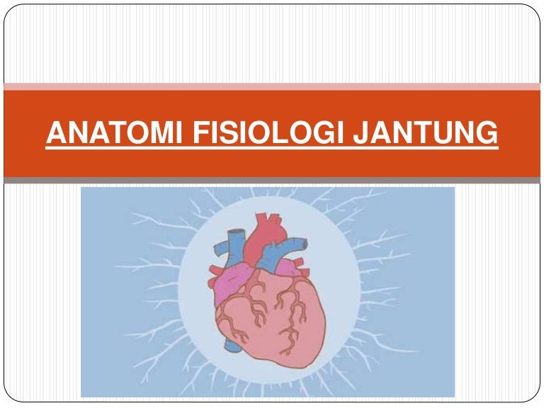 Anatomi Fisiologi Jantung Anatomi Fisiologi Jantung