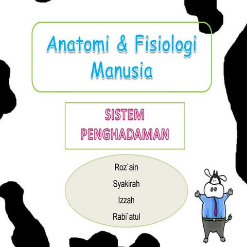 Anatomi & fisiologi manusia   pencernaan