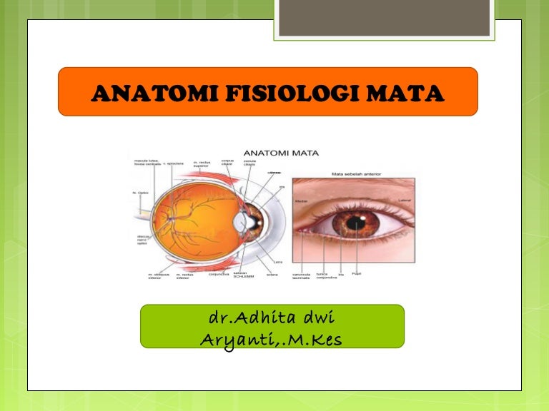 Anatomi Fisiologi Mata Dr Adhita Dwi A Anatomi Fisiologi Mata Dr Adhita Dwi A