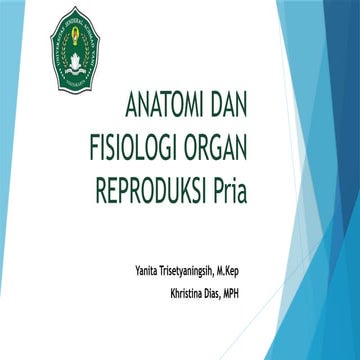 Anatomi_Fisiologi_Organ_Reproduksi Pria.pptx