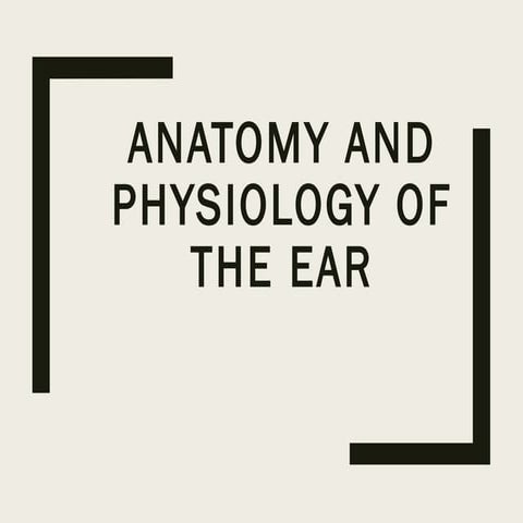 Anatomi, fisiologi pendengaran