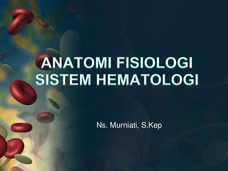 Anatomi fisiologi sistem hematologi