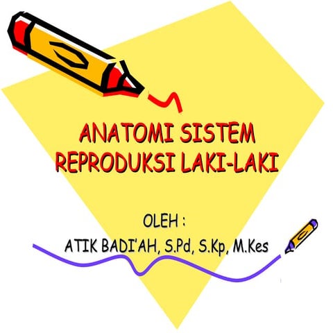 Anatomi fisiologi sistem reproduksirevisiatik