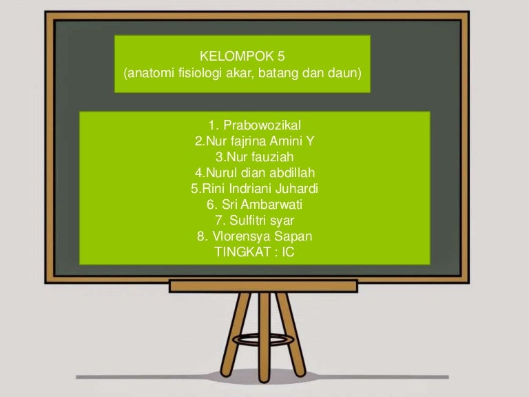 Anatomi Fisiologi Tumbuhan Akar Batang Dan Daun