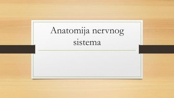 Gradja centralnog nervnog sistema | PPT