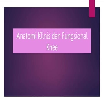 Anatomi Klinis Dan Fungsional Lutut Knee Pptx