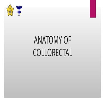 Colon anatomy | PPTX